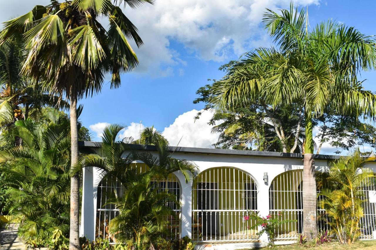 فيلا Casa Tropical - بوكا شيكا المظهر الخارجي الصورة