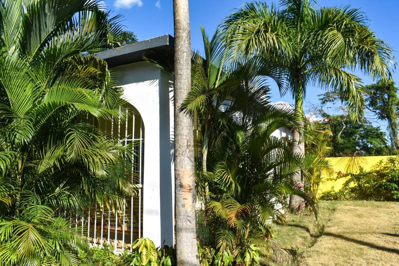 فيلا Casa Tropical - بوكا شيكا المظهر الخارجي الصورة