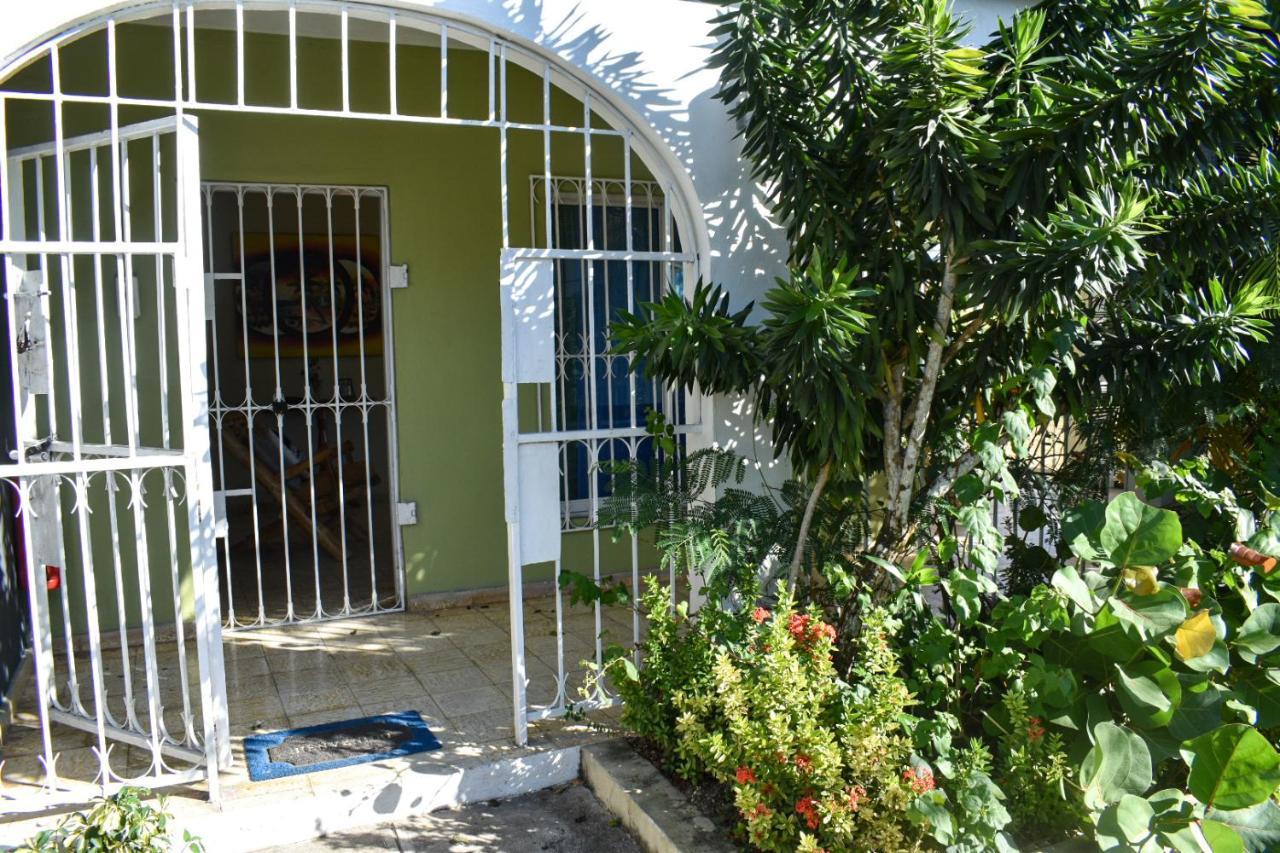 فيلا Casa Tropical - بوكا شيكا المظهر الخارجي الصورة