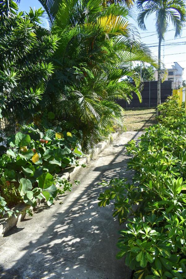 فيلا Casa Tropical - بوكا شيكا المظهر الخارجي الصورة